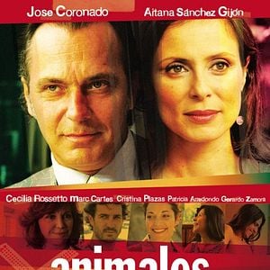 Foto Animales heridos