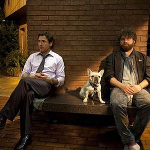 Foto Salidos de cuentas