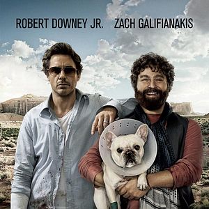 Foto Salidos de cuentas