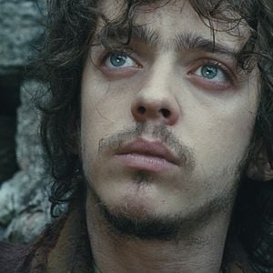 Foto En lo profundo del bosque