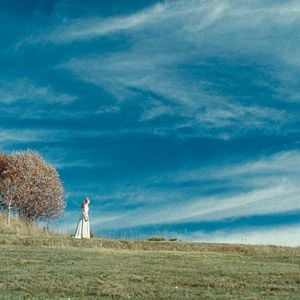 Foto En lo profundo del bosque