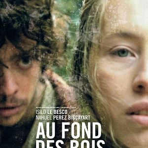 Foto En lo profundo del bosque