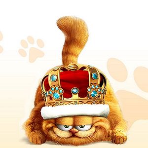Foto Garfield 2