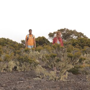 Foto Sandrine Bonnaire