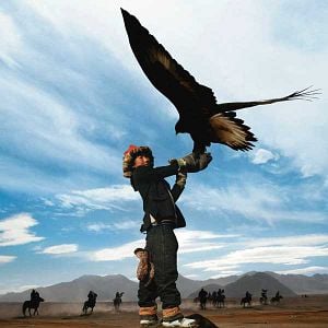 Foto Eagle hunter’s son