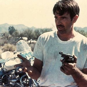 Foto La piel en el asfalto