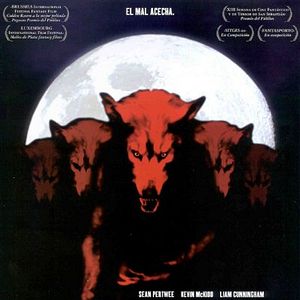 Foto Dog Soldiers