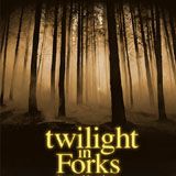 Foto Twilight in Forks