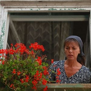 Foto Cirkus Columbia