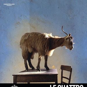 Foto Le Quattro Volte