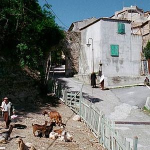 Foto Le Quattro Volte