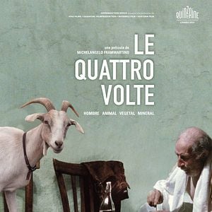 Foto Le Quattro Volte