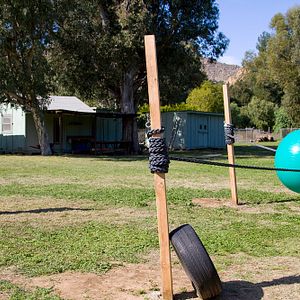 Foto Johnny Knoxville