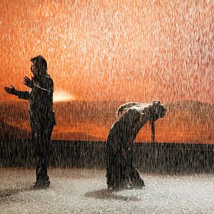 Foto Flamenco, Flamenco