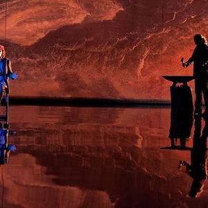 Foto Flamenco, Flamenco