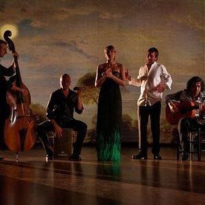 Foto Flamenco, Flamenco