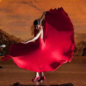 Foto Flamenco, Flamenco