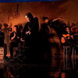 Foto Flamenco, Flamenco