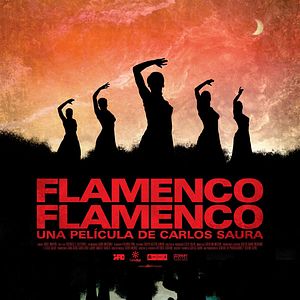 Foto Flamenco, Flamenco
