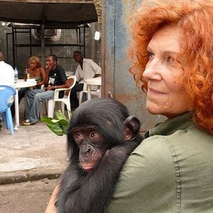 Foto Bonobos