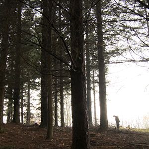 Foto Chasse à l'homme