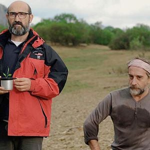 Foto ¿Para qué sirve un oso?