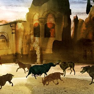 Foto Chienne d'histoire