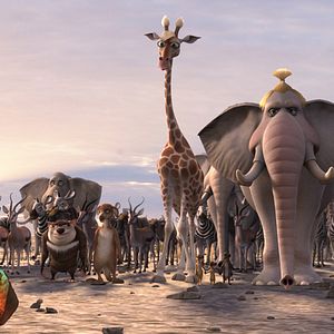 Foto Animals United en 3D