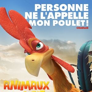 Foto Animals United en 3D