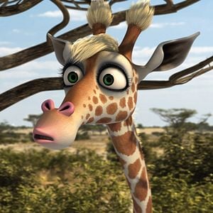 Foto Animals United en 3D