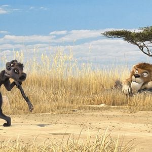 Foto Animals United en 3D