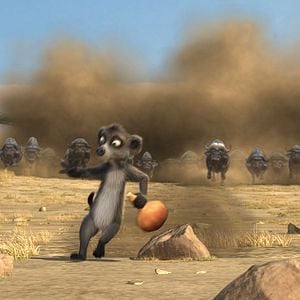 Foto Animals United en 3D