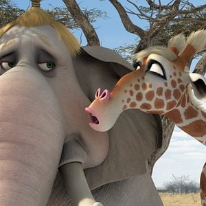 Foto Animals United en 3D