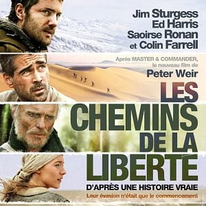 Foto Camino a la libertad