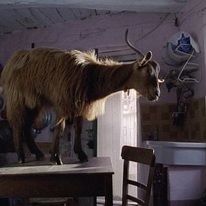 Foto Michelangelo Frammartino