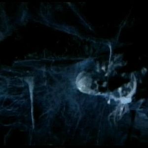 Foto Miedo en la ciudad de los muertos vivientes