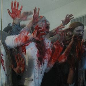 Foto Zone of the dead