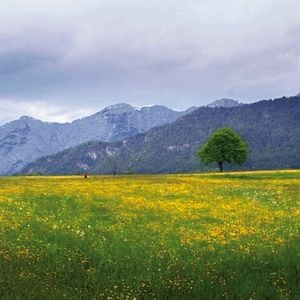 Foto Vivir de la luz