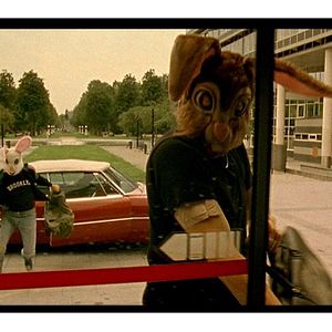 Foto A day in a life