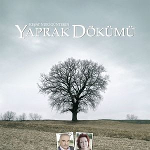 Foto Yaprak Dökümü