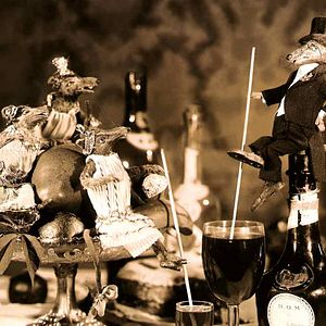 Foto Ladislas Starewitch