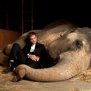 Foto Robert Pattinson