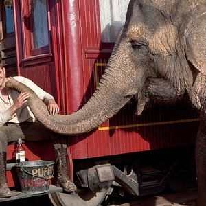 Foto Robert Pattinson