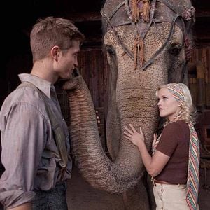 Foto Agua para elefantes