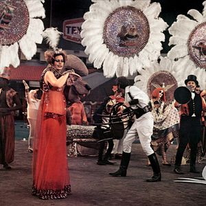 Foto El volar es para los pájaros