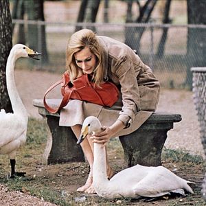 Foto El volar es para los pájaros