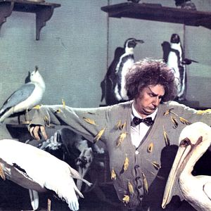 Foto El volar es para los pájaros