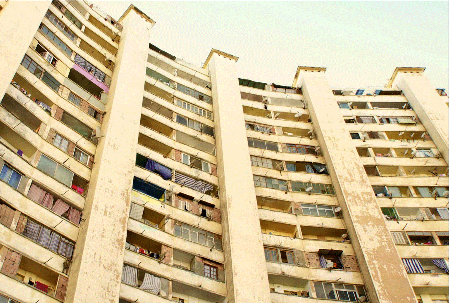 Foto On ne mourra pas