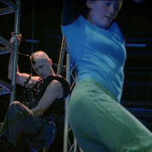 Foto Birds get vertigo too