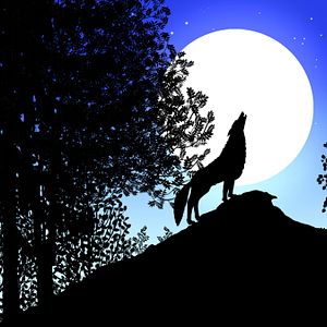 Foto Les Contes de la nuit